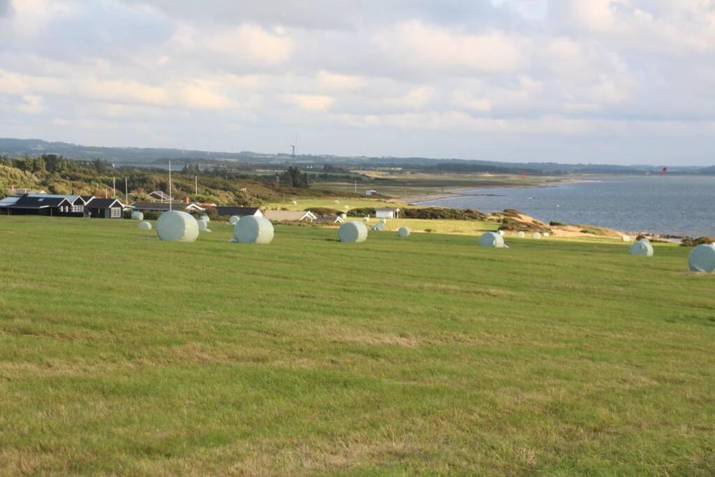 Beautiful And Amazing View - 3 Bedroom Cottage Vinderup Exteriér fotografie